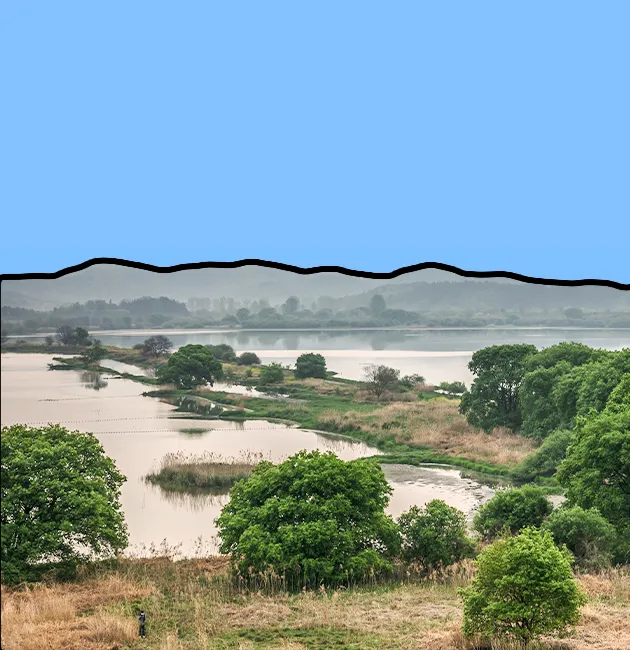 On World Wetlands Day, Reflecting: ‘What Are Wetlands to Us?’