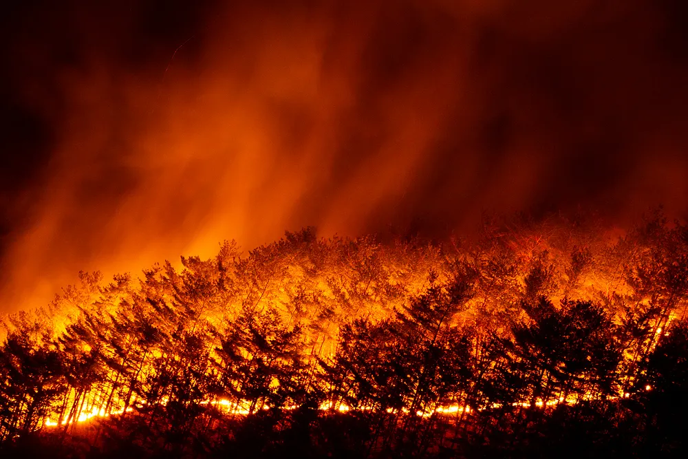 Wildfires: Warning Signals from the Climate Crisis